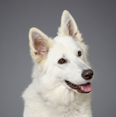 Screenshot 2026-02-20 130627